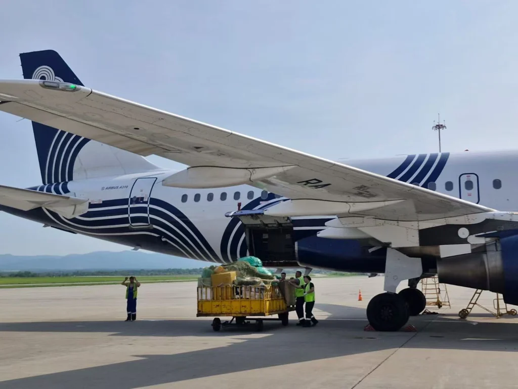 Авиаперевозки